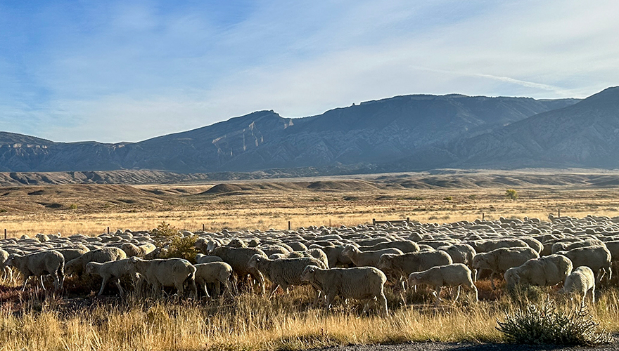 Northwest College - Powell, Wyoming