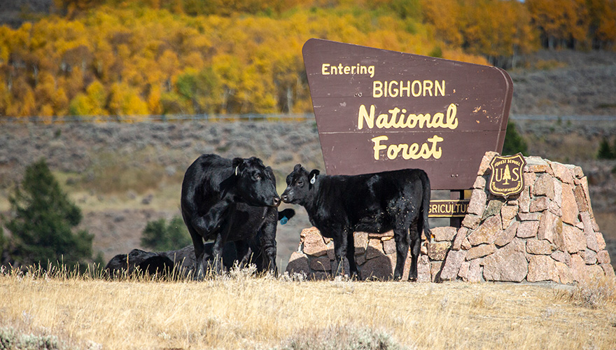 Northwest College - Powell, Wyoming