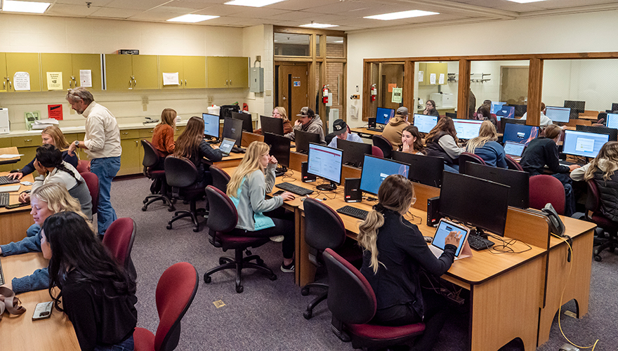 A room filled with students sitting at computer screens