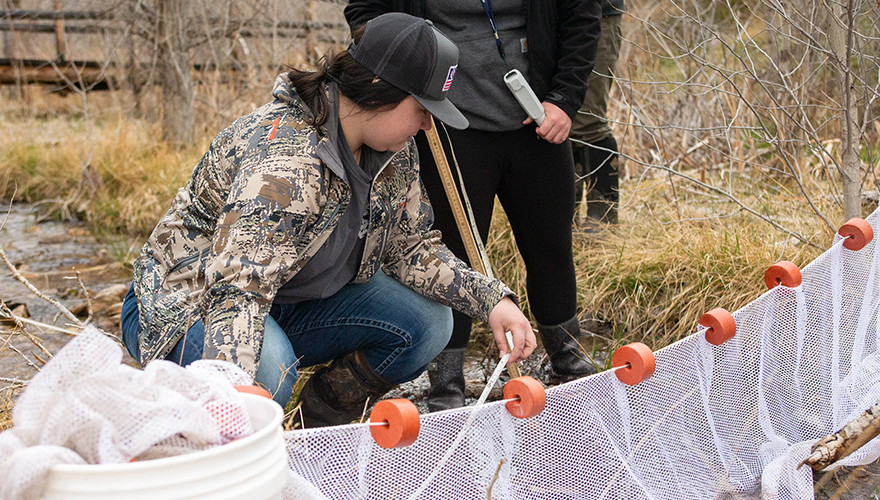 A female student in a hat and camo jacket crouching down in a creek holding a wide net across the water