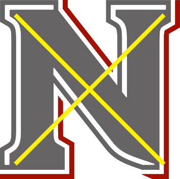Naked N logo full color