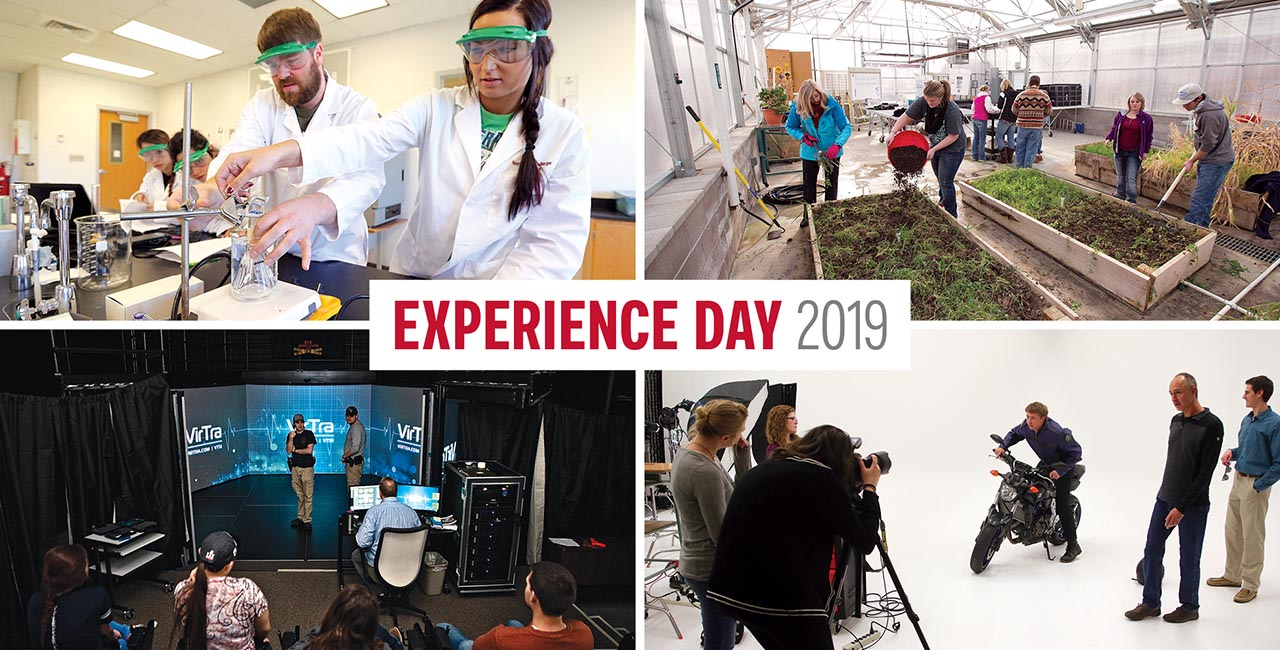 Experience Day image