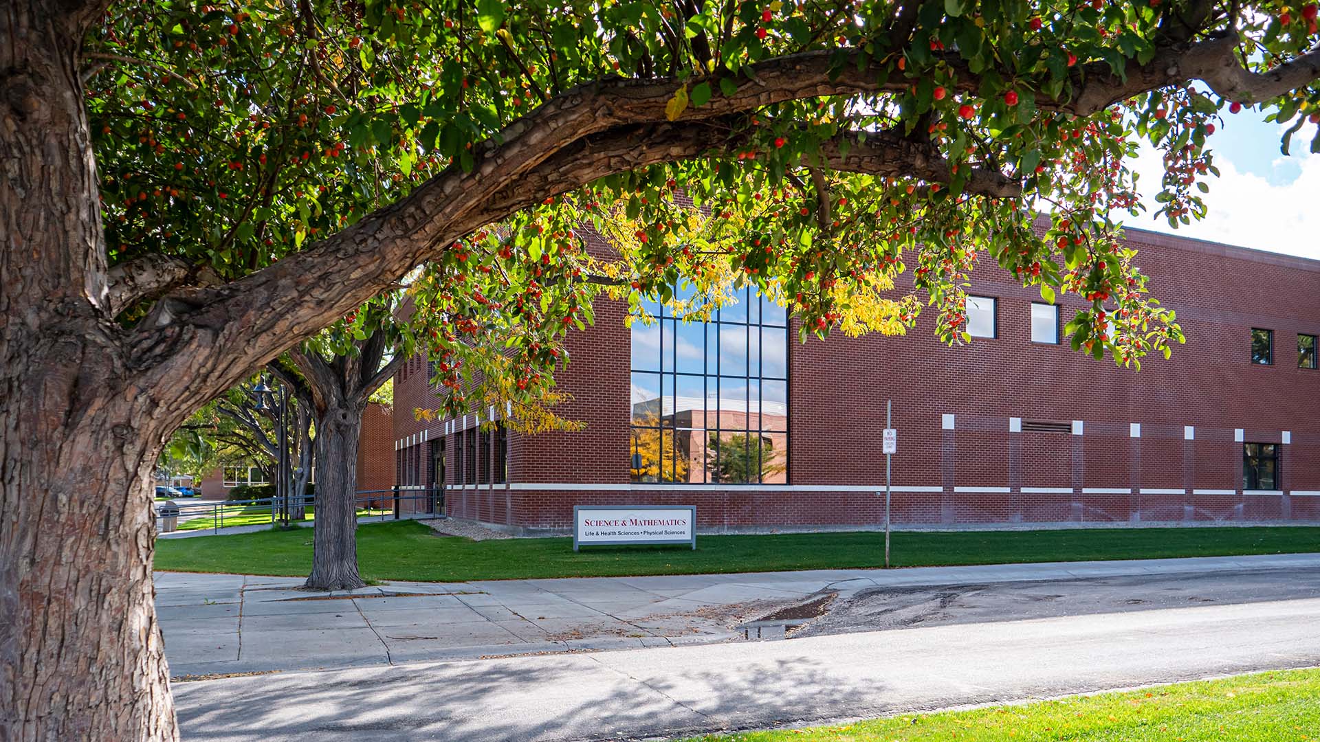 Looking through the branches of a tree across the street at a red bricked building with a tall set of windows showing the reflection of another red bricked building